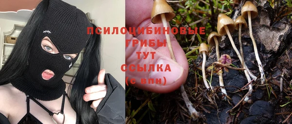 а пвп мука Ладушкин