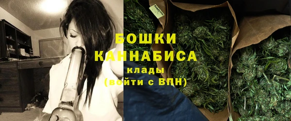 МДПВ Липки