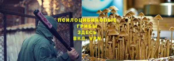 МДПВ Липки